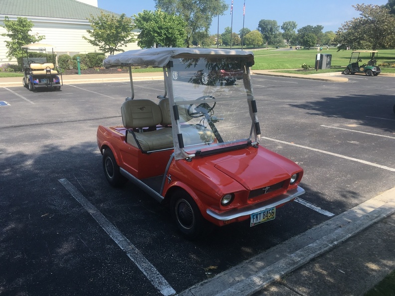 Mustang Golf Cart